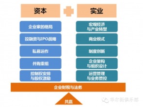 199IT企業軟件開發洞察 趨勢、挑戰與未來路徑